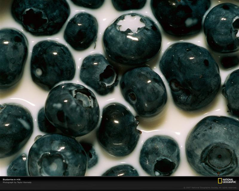 blueberries-in-milk-967735-xl (Medium)