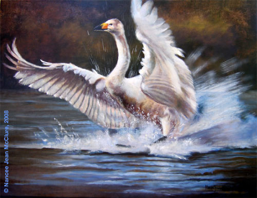 swan landing