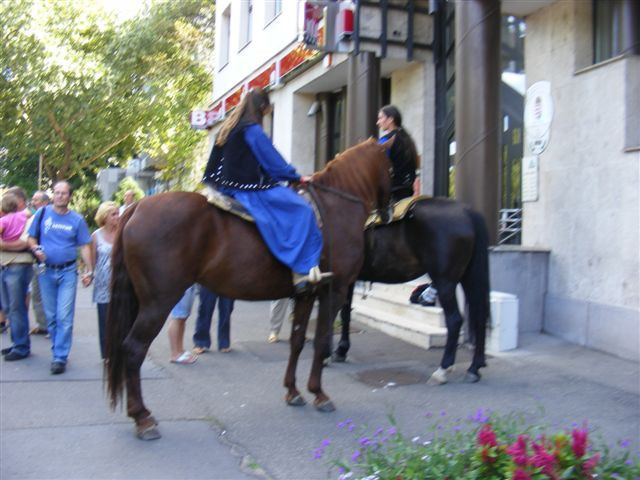 2009.09.05.kiskorosi szureti napok 107