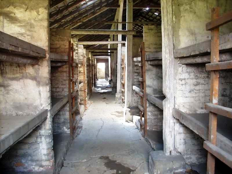 Auschwitz-Birkenau10