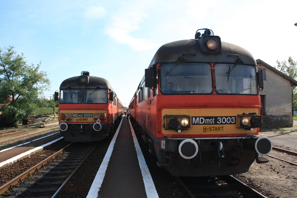 MDmot-3025 & 3003