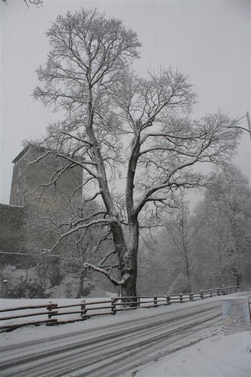 Kaprun (Ausztria)