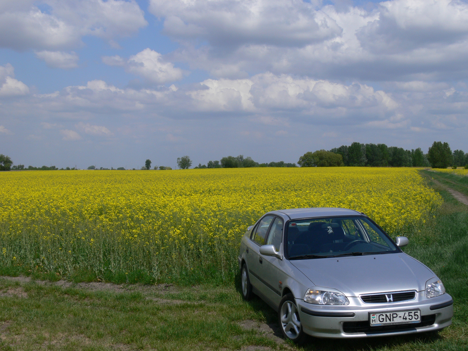 Honda Civic, a szívem csücske :)