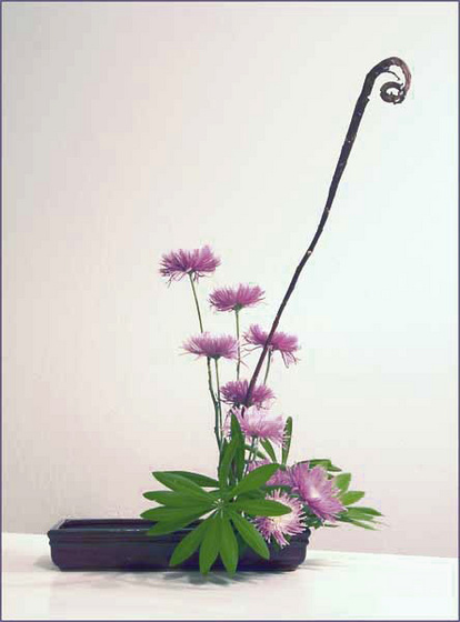 chrysanthemum-ikebana-web-1