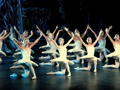 Swan Lake Ballet