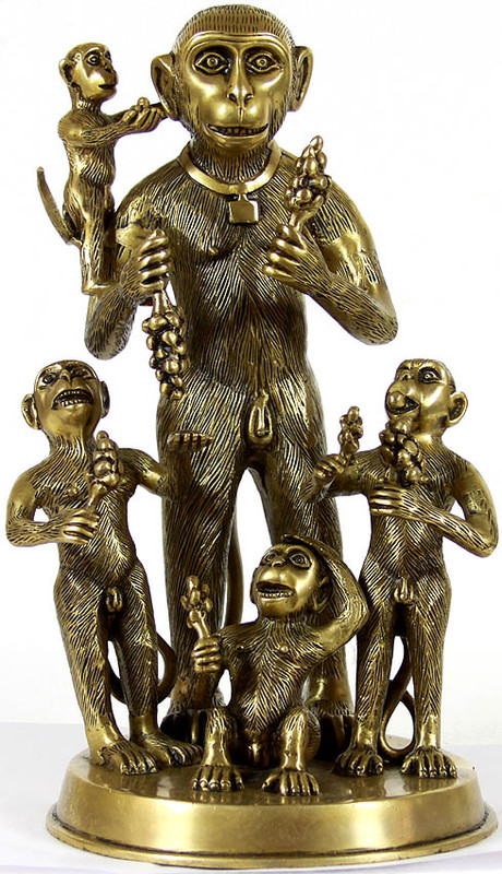 a monkey family rp14