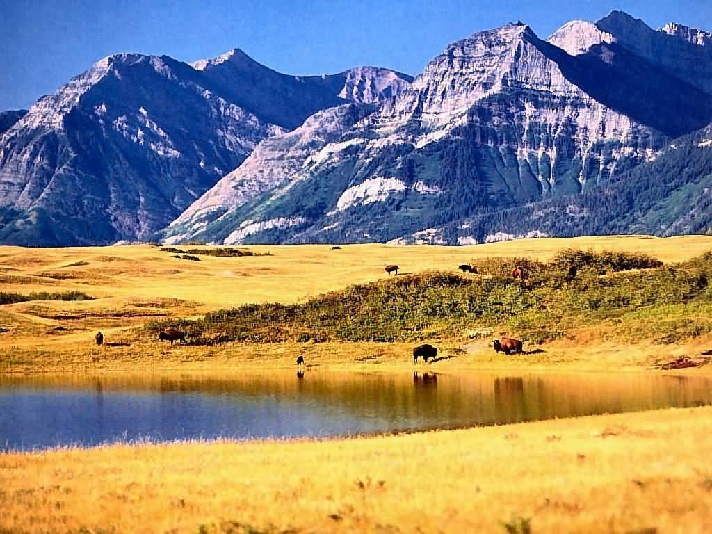 Waterton-National-Park-Canadian-Rockies-1024x768