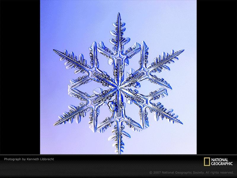 dendrite-snowflake-1047254-sw (Medium)