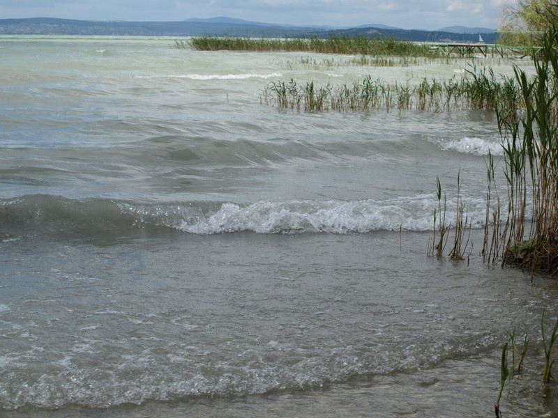 balaton2008+ 031