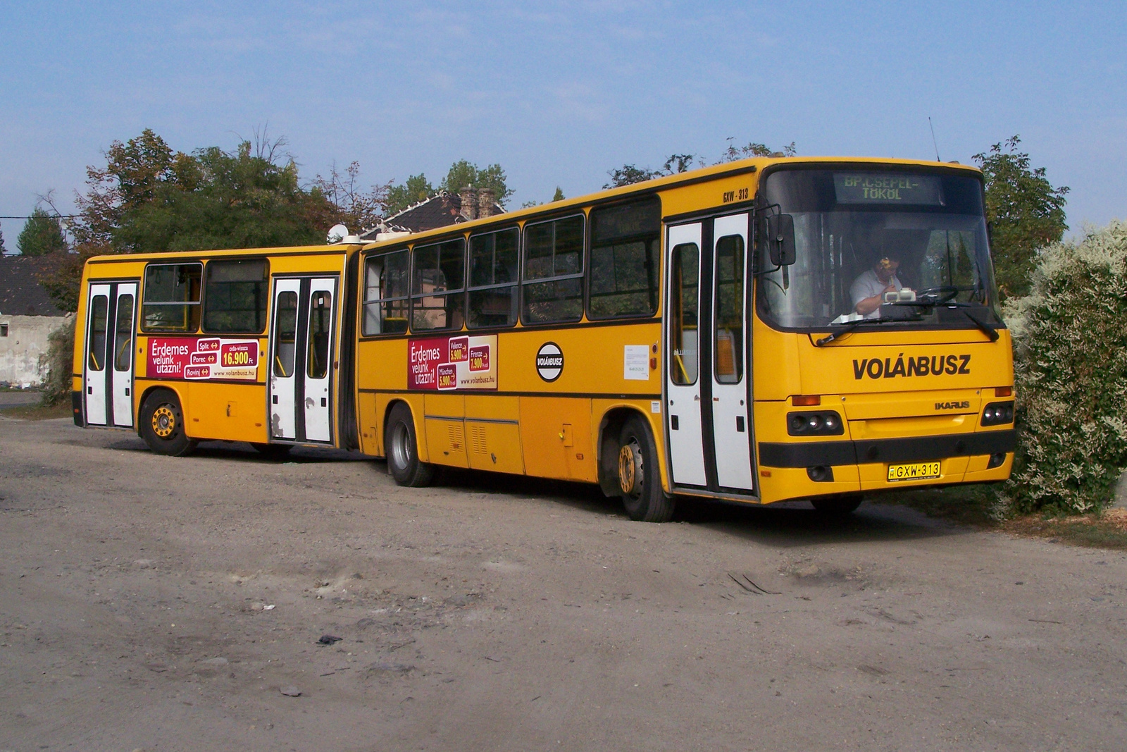 Ikarus Classic C80-GXW-313 2-Csepel