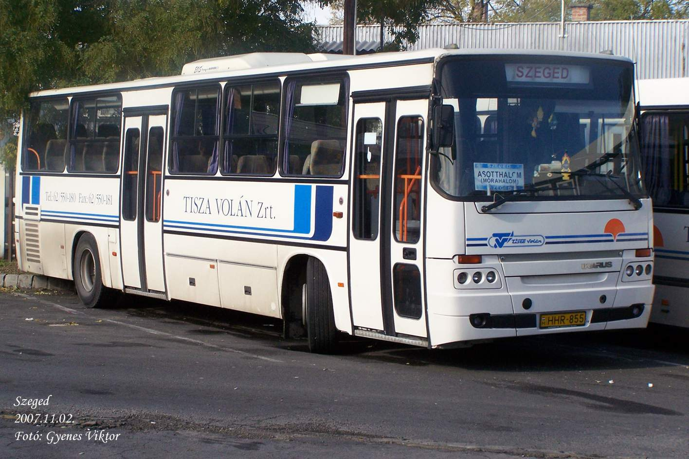 Ikarus Classic C56-HHR-855