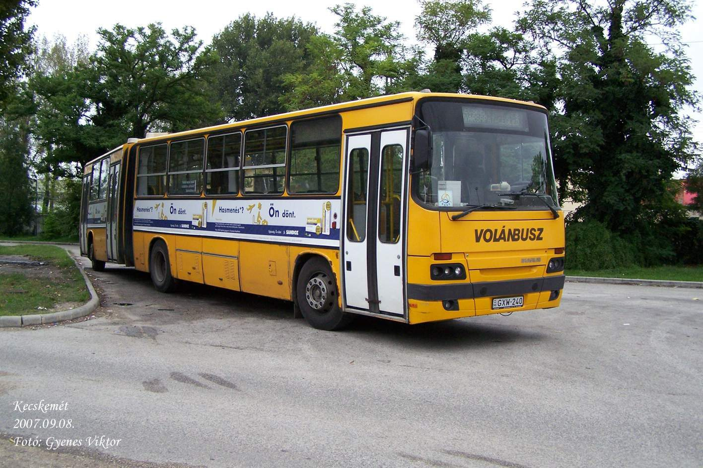 Ikarus Classic C80-GXW-240