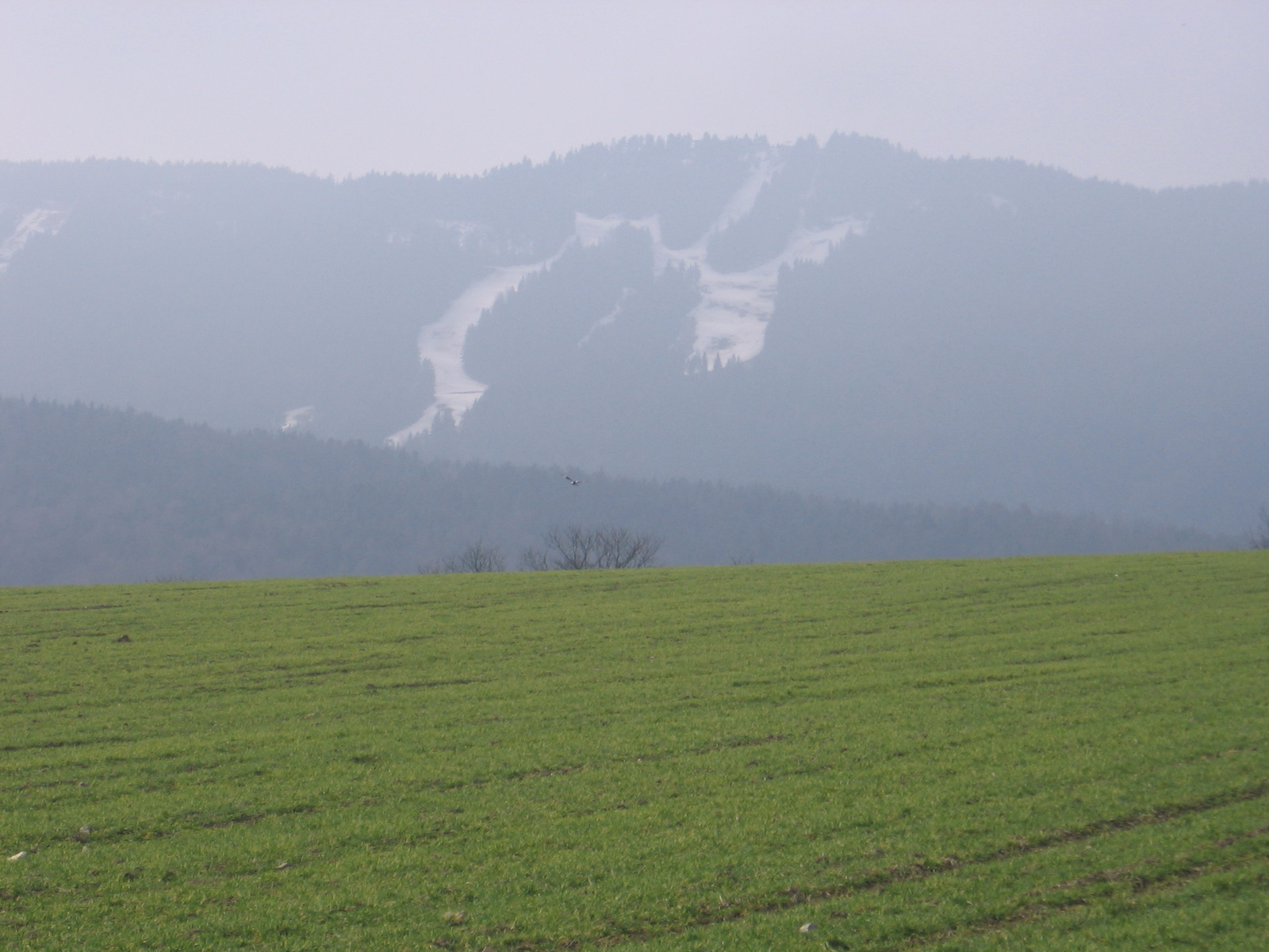 Neukirchen 2011.márc.26. +Márkó 9 és fél hó-ig 061