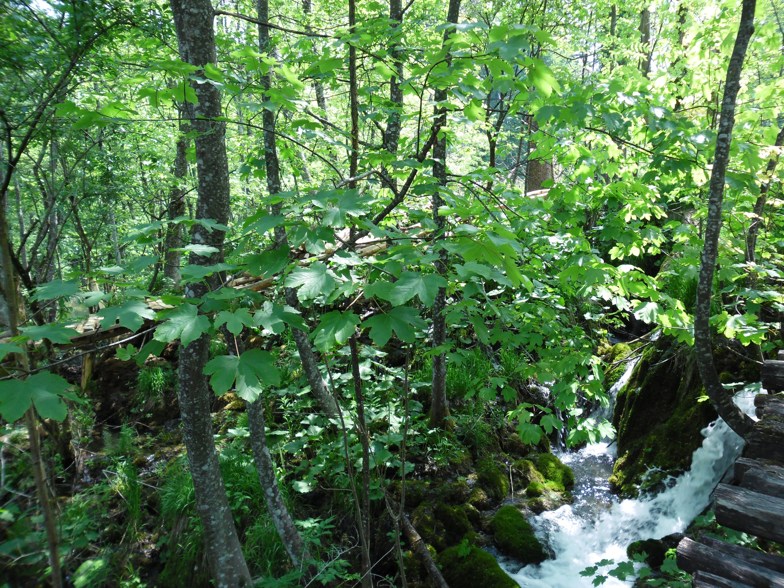 Plitvice 2011.05.21. 016