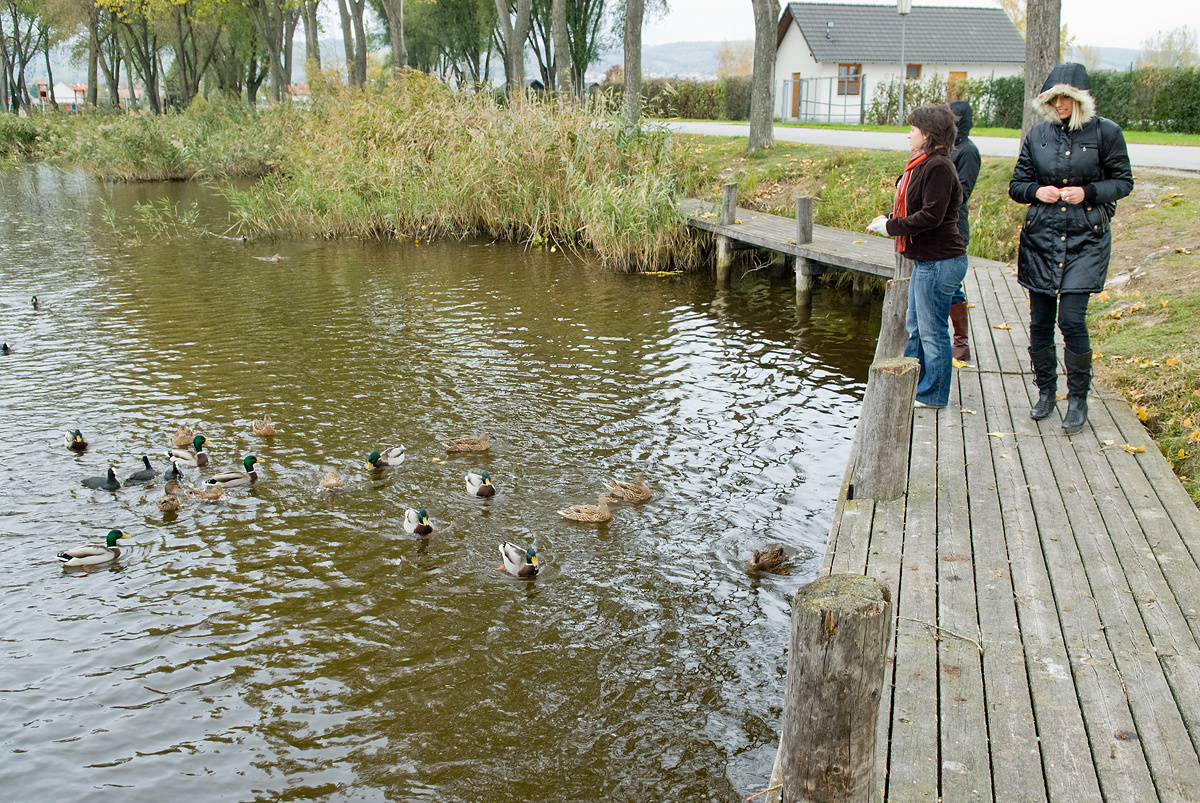 Neusiedl am See 161