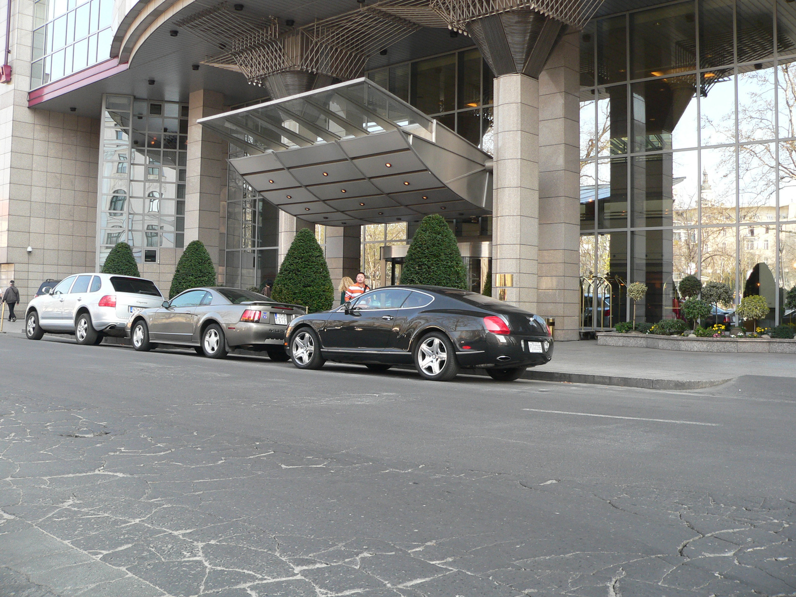 Bentley & Mustang