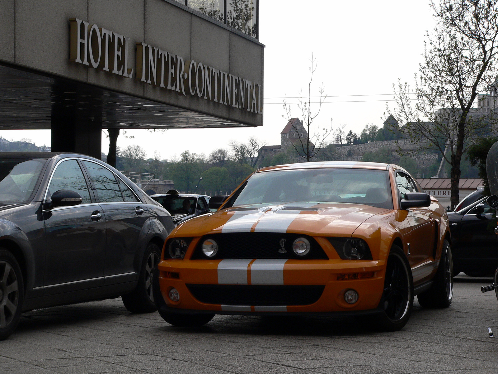 Shelby GT500