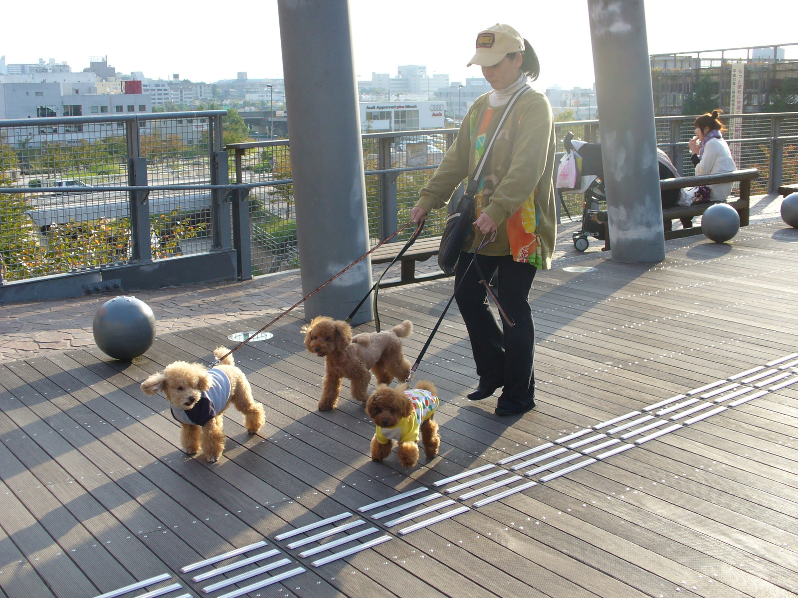 Három kutyát sétáltató nő