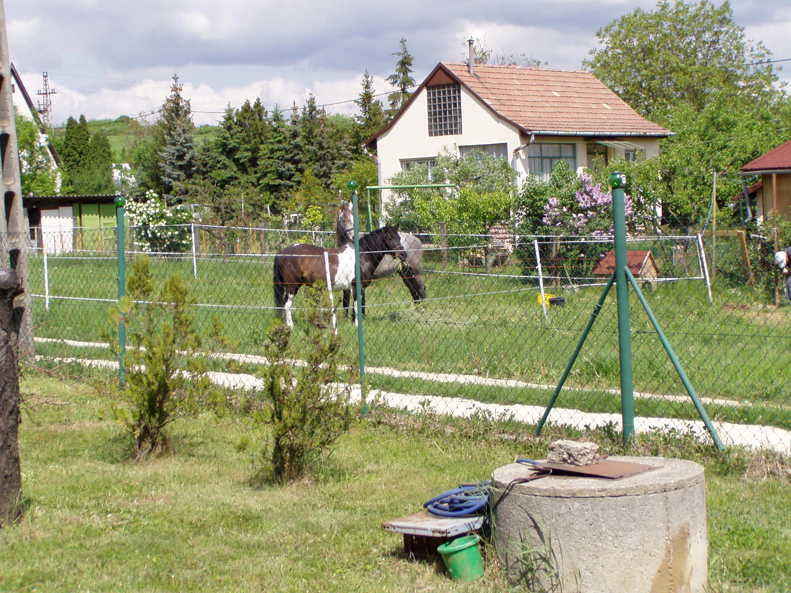 Telken Tomiéknál 2009-05-02 051